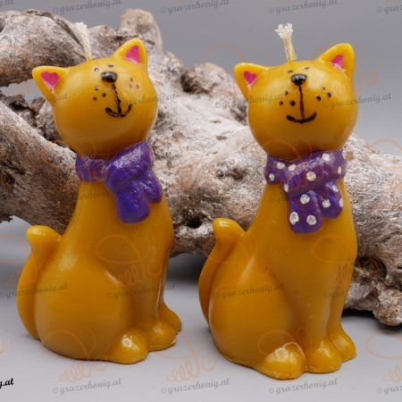 Katze Abby mit Schal