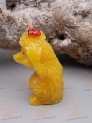 Igel mit Marienkäfer