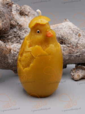 Schlüpfendes Küken