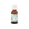 Bio Rosmarinöl | 20 ml Bio Rosmarinöl 20ml