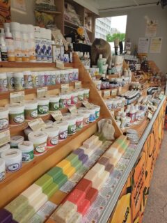 photo_2024-02-24_08-09-17