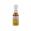 Apident Mundspray mit Propolis 20ml