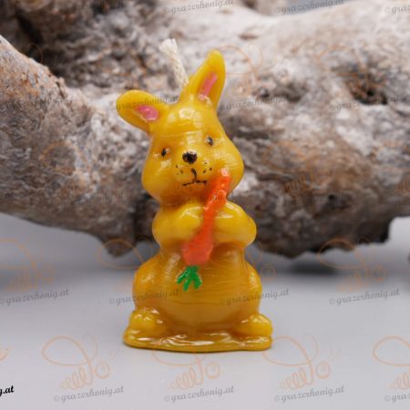 Häschen mit einer Karotte