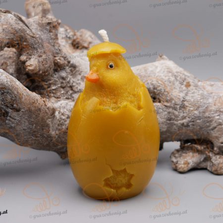 Schlüpfendes Küken