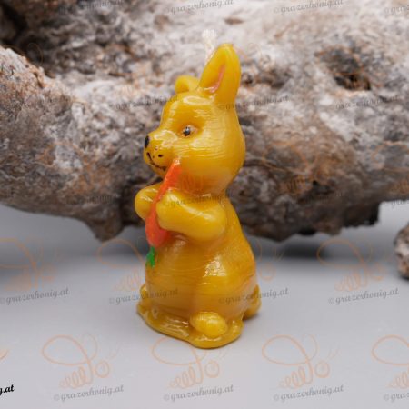 Häschen mit einer Karotte