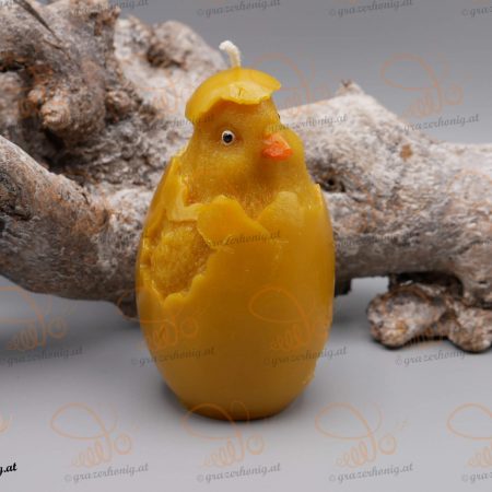 Schlüpfendes Küken