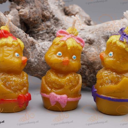 Küken in der Eierschale