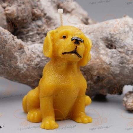 Hund Deno