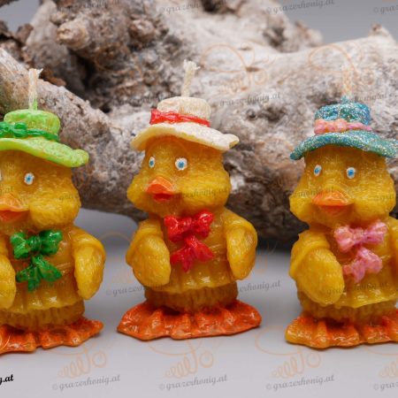 Ente mit Hut