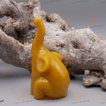 Junger Elefant