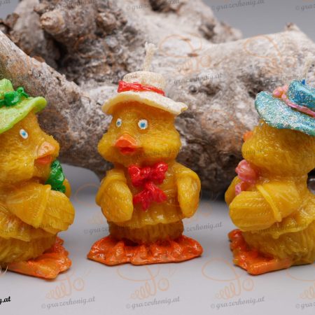 Ente mit Hut