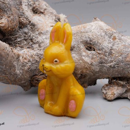 Hase sitzend